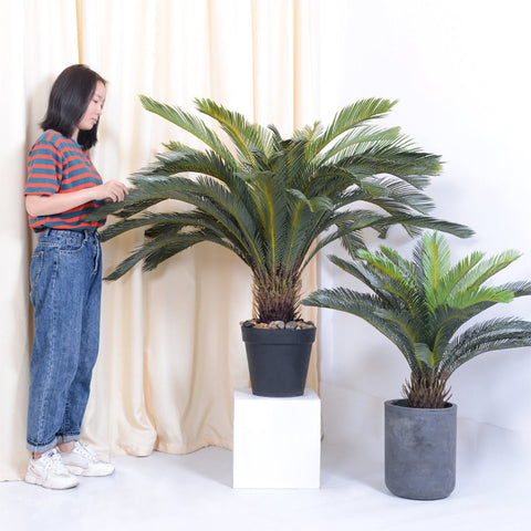 155cm Artificial Cycas Revoluta Plant