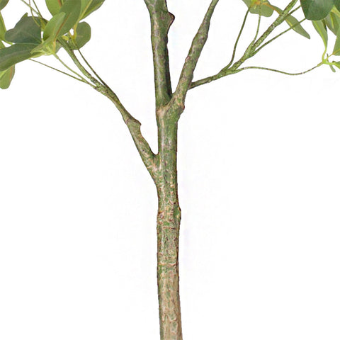 160cm Schefflera Artificial Plant