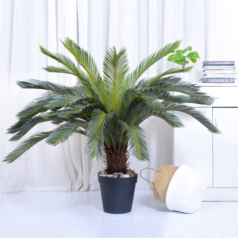 155cm Artificial Cycas Revoluta Plant