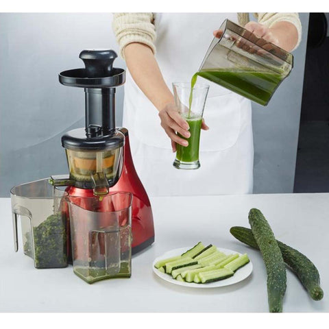 Cold Press Slow Juicer Green
