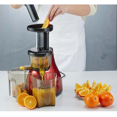 Cold Press Slow Juicer Green