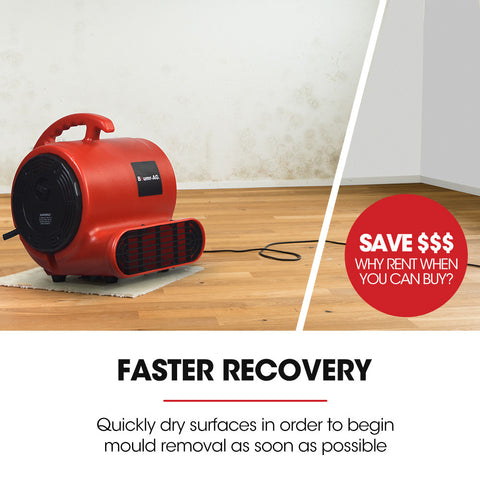 Baumr-AG 3-Speed Carpet Dryer Air Mover Blower Fan, 700CFM, Sealed Copper Motor, Poly Housing