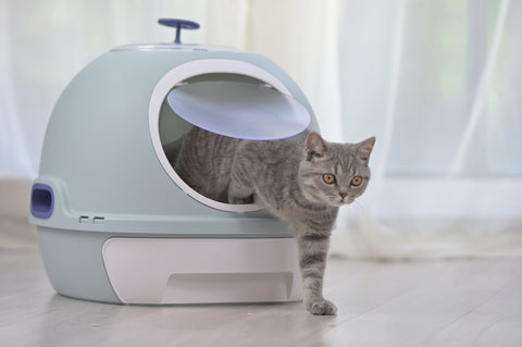 Cat Toilet Litter Box Tray House W Sky window Drawer Photocatalyst Purifier Blue