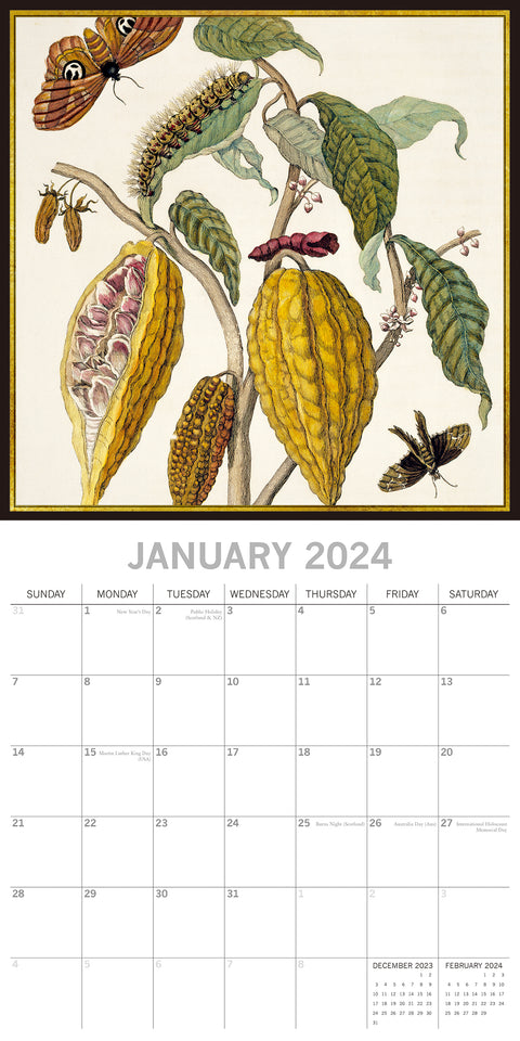 Insects 2024 Square Wall Calendar 16 Months Arts Planner Christmas New Year Gift
