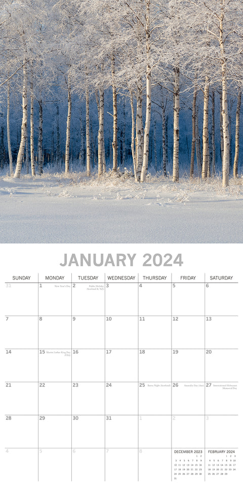 Beauty of Trees 2024 Square Wall Calendar 16 Month Floral Planner Christmas Gift