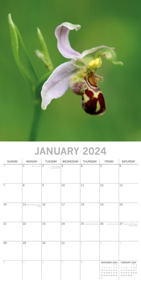 Orchids 2024 Square Wall Calendar 16Month Floral Planner Christmas New Year Gift