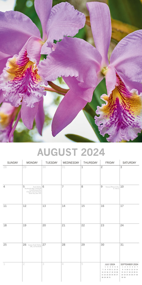 Orchids 2024 Square Wall Calendar 16Month Floral Planner Christmas New Year Gift