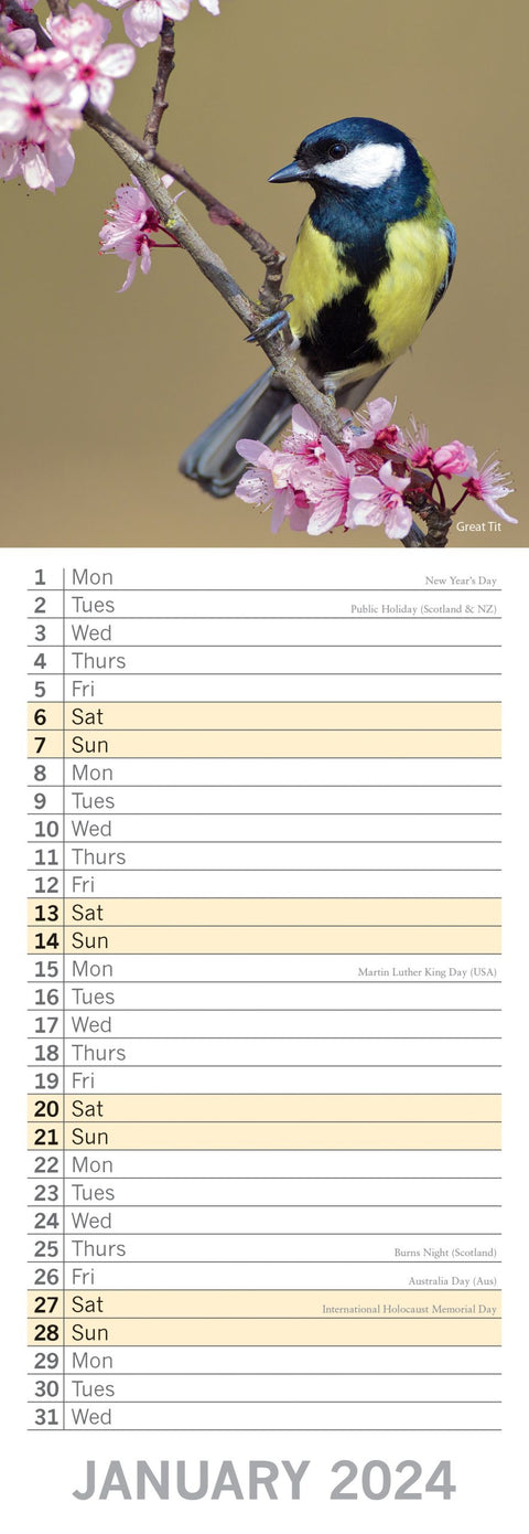 Birds - 2024 Slimline Slim Wall Calendar Hanging Planner New Year Gift